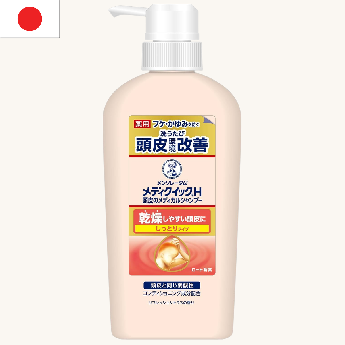 Rohto Mentholatum - Mediquick H Scalp Shampoo Moist Pump (320ml)
