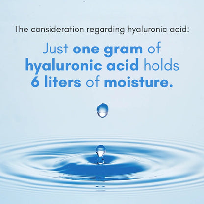 Rohto Mentholatum - Hada Labo Gokujyun Hyaluronic Acid Lotion Moist  (170ml)