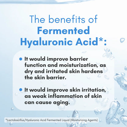 Rohto Mentholatum - Hada Labo Gokujyun Hyaluronic Acid Lotion Moist  (170ml)